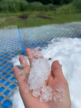 軽井沢プリンスホテルスキー場に投稿された画像（2022/8/12）