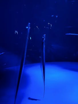 サンシャイン水族館に投稿された画像（2022/8/12）