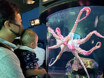 サンシャイン水族館に投稿された画像（2022/8/12）