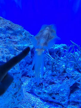 サンシャイン水族館に投稿された画像（2022/8/12）