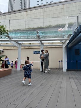 サンシャイン水族館に投稿された画像（2022/8/12）