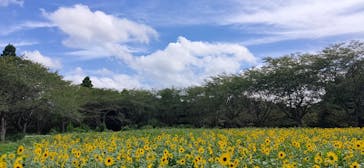 成田ゆめ牧場に投稿された画像（2022/8/12）