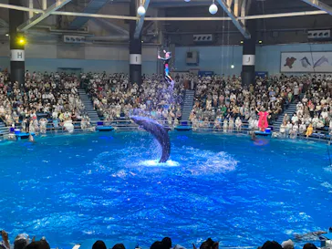マクセル アクアパーク品川に投稿された画像（2022/8/12）