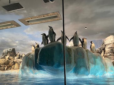 名古屋港水族館に投稿された画像（2022/8/12）
