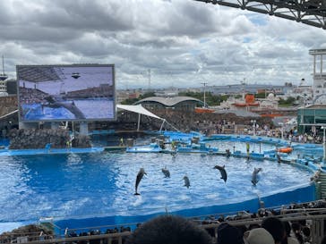 名古屋港水族館に投稿された画像（2022/8/12）