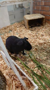 アニタッチみなとみらいに投稿された画像（2022/8/12）