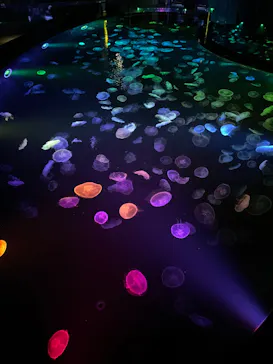 すみだ水族館に投稿された画像（2022/8/12）