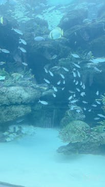 名古屋港水族館に投稿された画像（2022/8/12）