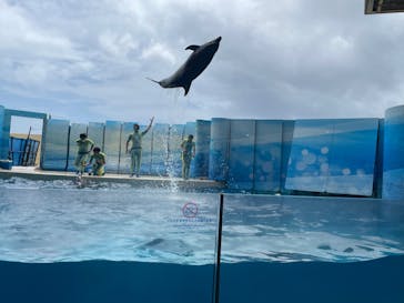 新江ノ島水族館に投稿された画像（2022/8/12）