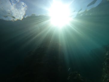 沖縄マリンサービス碧に投稿された画像（2022/8/12）