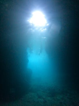 沖縄マリンサービス碧に投稿された画像（2022/8/12）