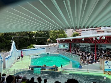 しながわ水族館に投稿された画像（2022/8/12）