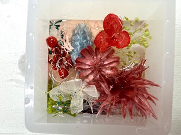 ずこうしつ〜sugamo〜に投稿された画像（2022/8/12）