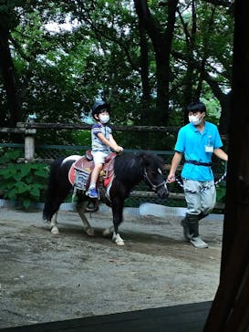 群馬サファリパークに投稿された画像（2022/8/12）