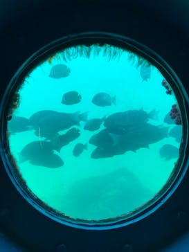 串本海中公園水族館に投稿された画像（2022/8/12）