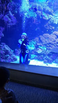 大分マリーンパレス水族館 「うみたまご」に投稿された画像（2022/8/12）
