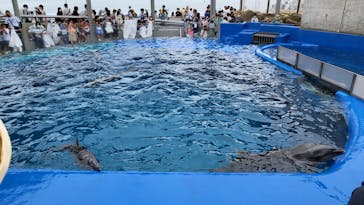 大分マリーンパレス水族館 「うみたまご」に投稿された画像（2022/8/12）