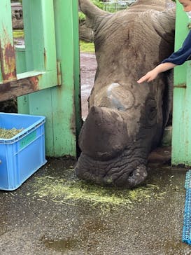 伊豆アニマルキングダムに投稿された画像（2022/8/12）