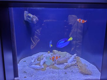 マリンワールド海の中道に投稿された画像（2022/8/12）