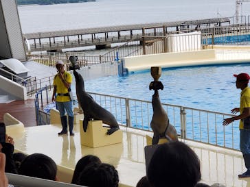 マリンワールド海の中道に投稿された画像（2022/8/12）