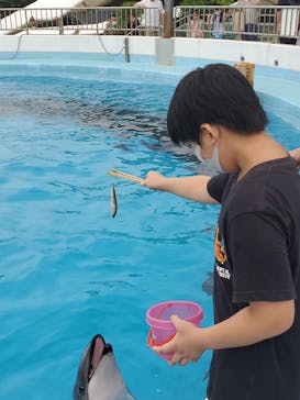 マリンワールド海の中道に投稿された画像（2022/8/12）
