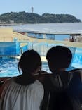 新江ノ島水族館に投稿された画像（2022/8/12）