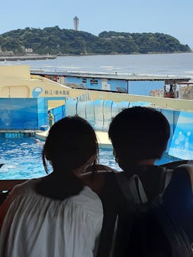 新江ノ島水族館に投稿された画像（2022/8/12）