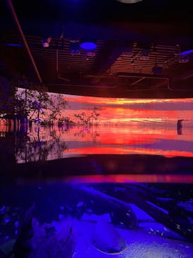 カワスイ 川崎⽔族館に投稿された画像（2022/8/12）