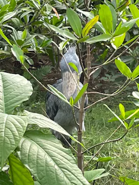 神戸どうぶつ王国に投稿された画像（2022/8/12）