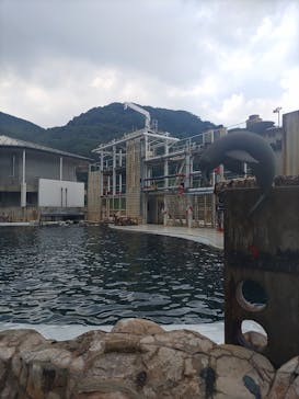 城崎マリンワールドに投稿された画像（2022/8/12）