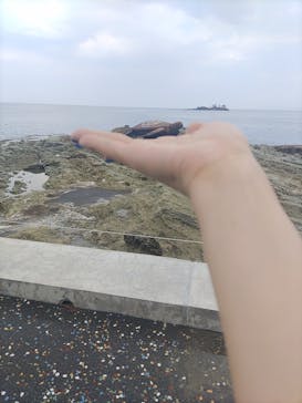 城崎マリンワールドに投稿された画像（2022/8/12）