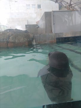 城崎マリンワールドに投稿された画像（2022/8/12）