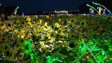 せんだい農業園芸センター　みどりの杜に投稿された画像（2022/8/12）