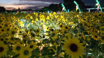 せんだい農業園芸センター　みどりの杜に投稿された画像（2022/8/12）