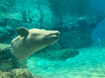 名古屋港水族館に投稿された画像（2022/8/12）