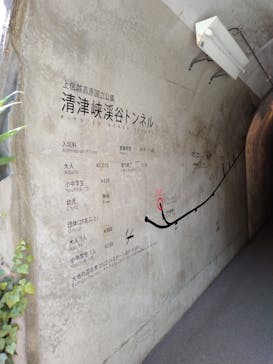 清津峡渓谷トンネルに投稿された画像（2022/8/12）