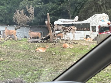 那須サファリパークに投稿された画像（2022/8/12）