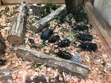 淡路ファームパーク イングランドの丘に投稿された画像（2022/8/12）