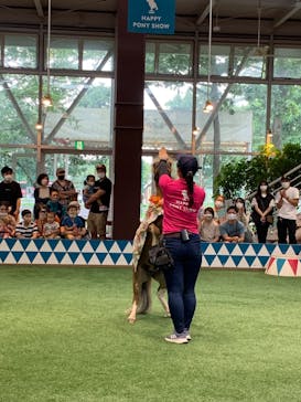 ノーザンホースパークに投稿された画像（2022/8/12）