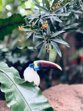 神戸どうぶつ王国に投稿された画像（2022/8/12）