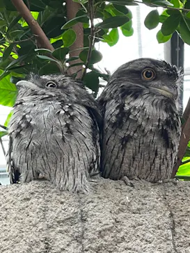 神戸どうぶつ王国に投稿された画像（2022/8/12）