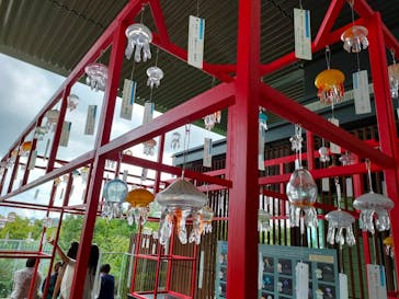 京都水族館に投稿された画像（2022/8/12）