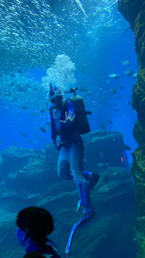 仙台うみの杜水族館に投稿された画像（2022/8/12）