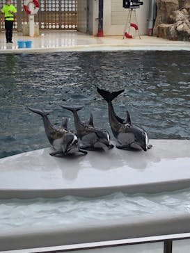 城崎マリンワールドに投稿された画像（2022/8/12）