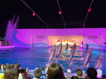 南知多ビーチランド＆南知多おもちゃ王国に投稿された画像（2022/8/12）