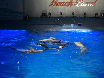 南知多ビーチランド＆南知多おもちゃ王国に投稿された画像（2022/8/12）