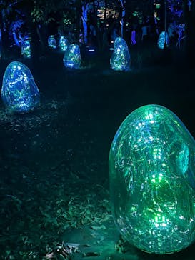 チームラボ ボタニカルガーデン 大阪に投稿された画像（2022/8/12）