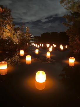 チームラボ ボタニカルガーデン 大阪に投稿された画像（2022/8/12）