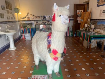 野外民族博物館 リトルワールドに投稿された画像（2022/8/12）