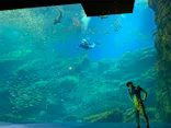 仙台うみの杜水族館に投稿された画像（2022/8/12）